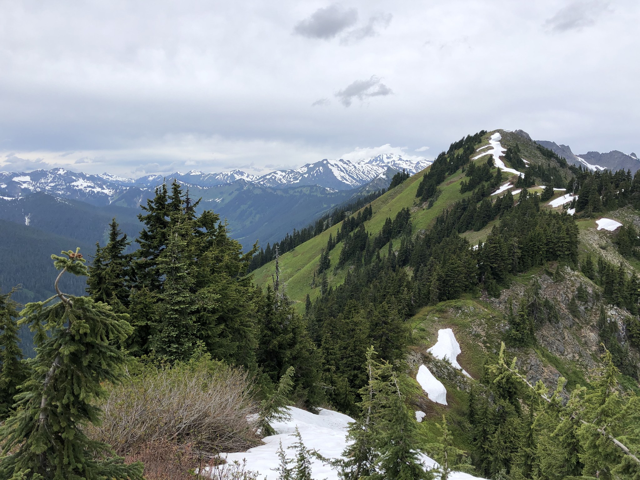 Poe Mountain via Little Wenatchee Trailhead — Washington Trails Association